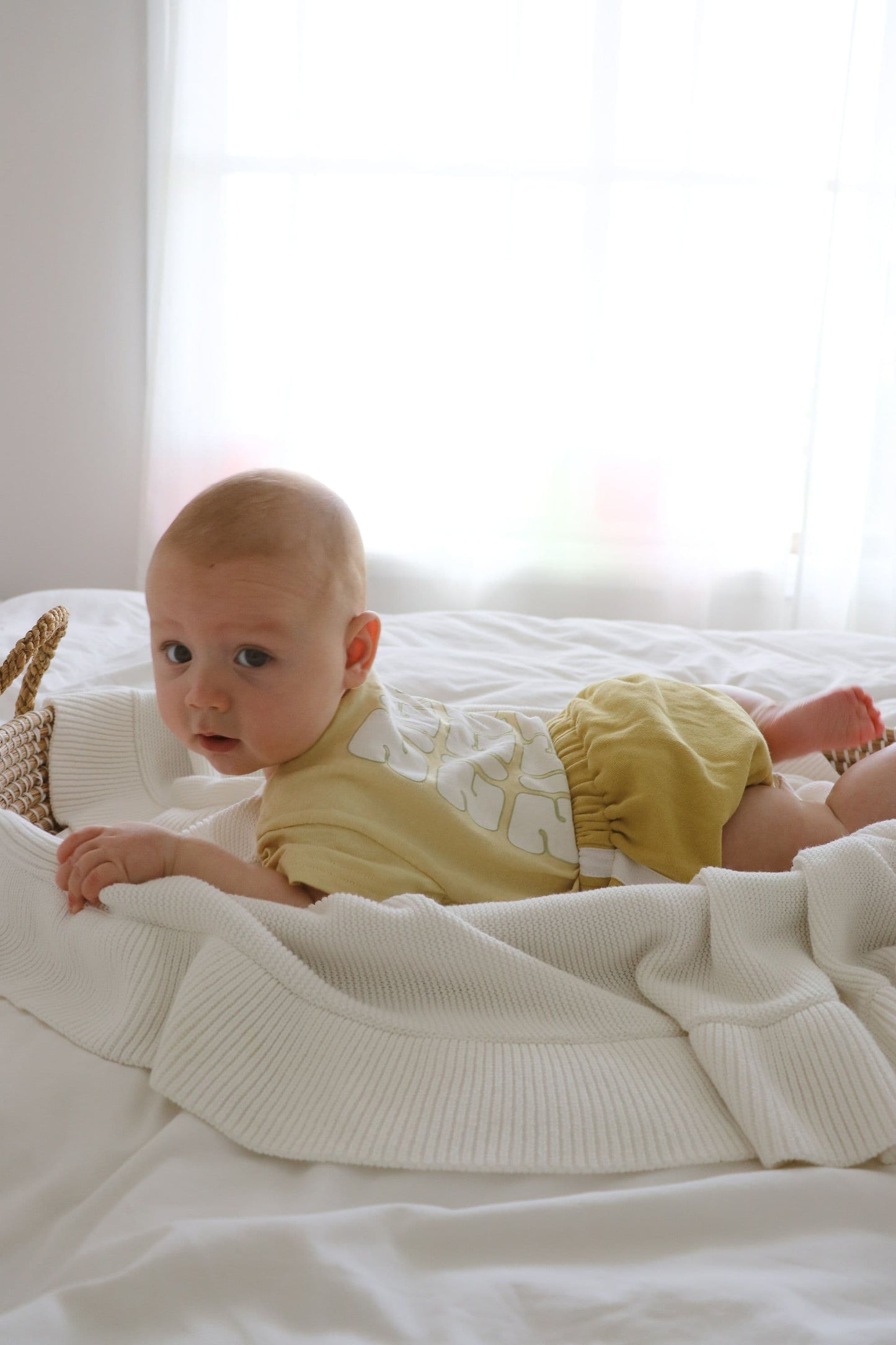 BLOOMERS | KEY LIME - ZIGGY LOU