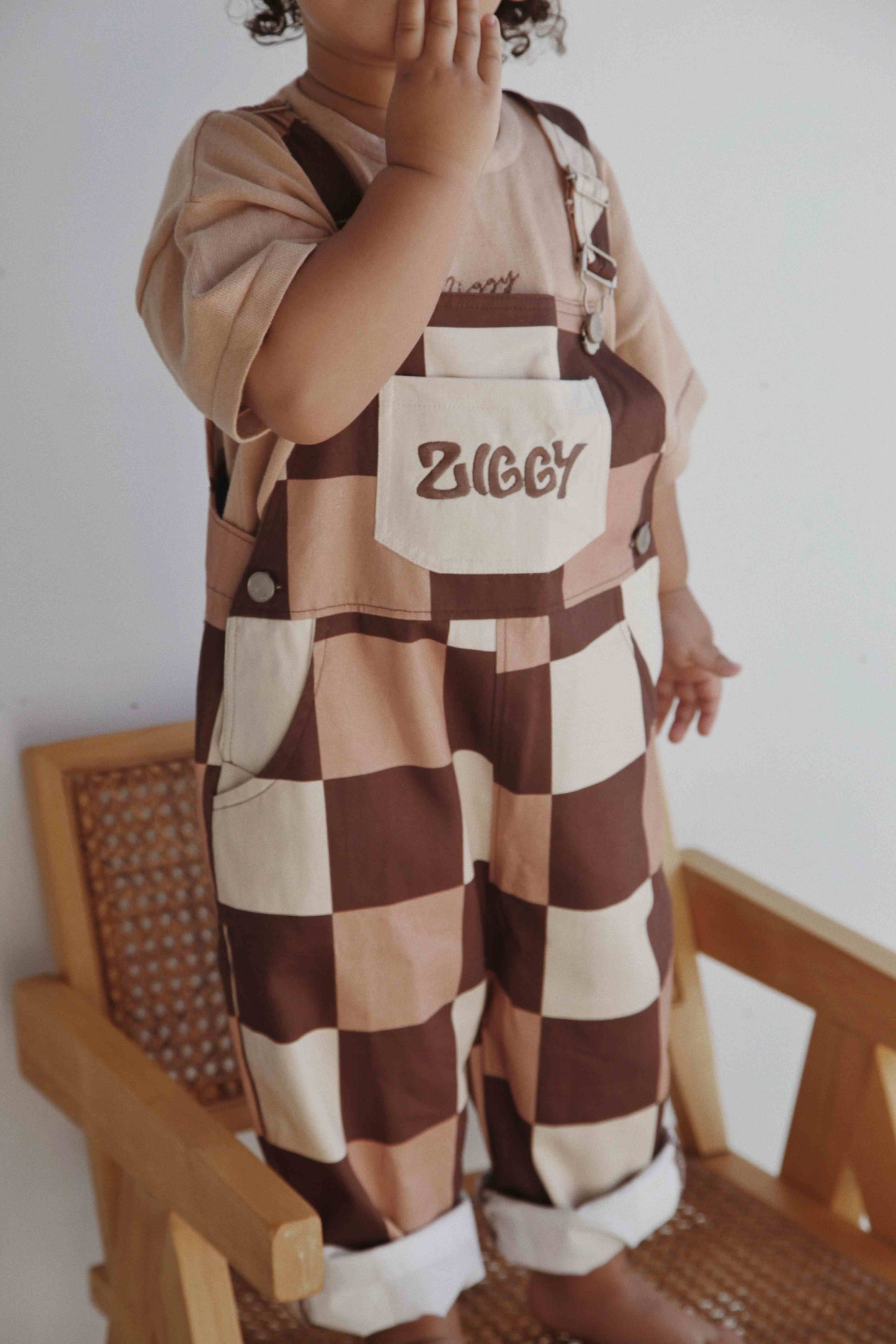 OVERALLS | CHECKS