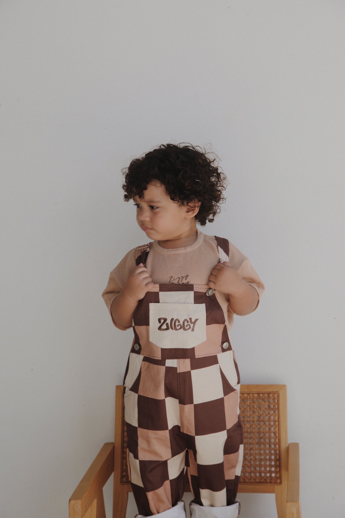 OVERALLS | CHECKS